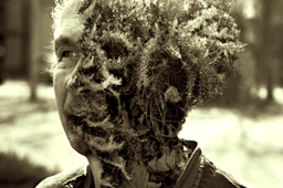 Fertilisers can make plants sicker